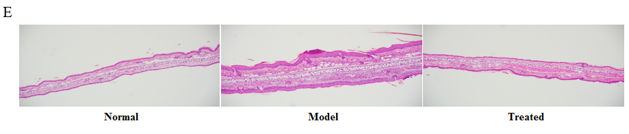 1723712291490992.png 图片4.png