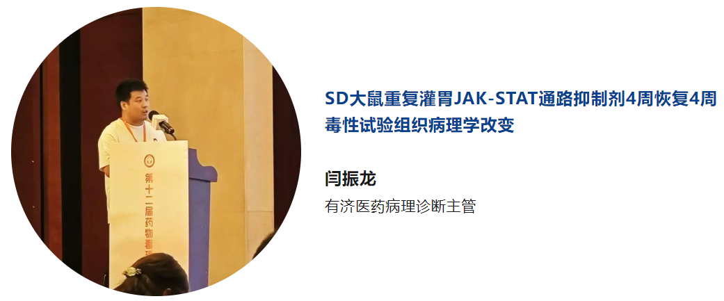 1725934652510486.png image.png