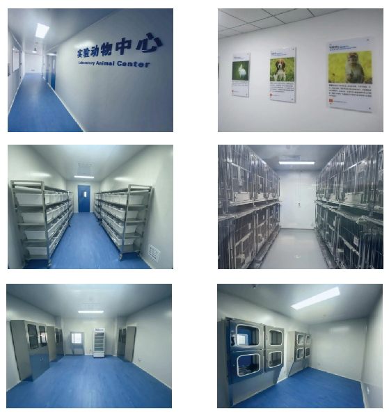 1650008487349418.png 010.png