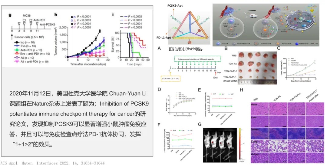 1664357291114998.jpg 22cfe4e8-c72a-466d-9b25-a5d27ecc2c04.jpg