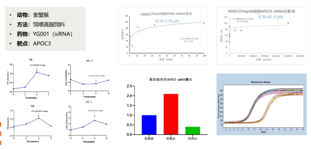 1664357308143080.jpg 453962de-70c5-40c3-ae53-67a89ea6b149.jpg