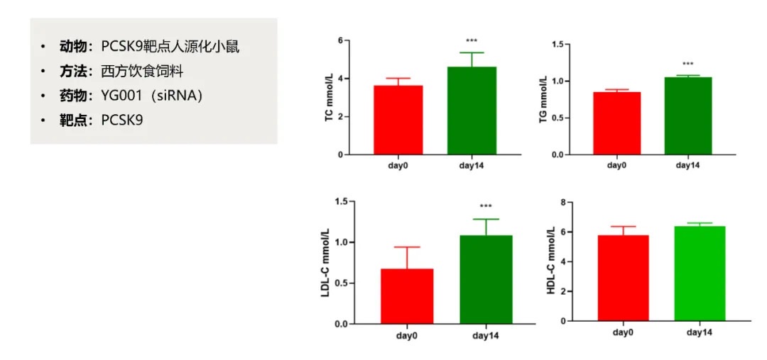 1664357321386726.jpg e1c689d9-ec4f-4837-9cdf-b5fd7fb29aca.jpg