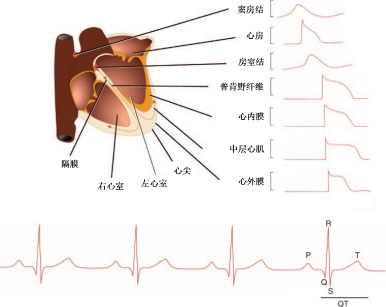 1717125944119908.png 微信图片_20240531112535.png