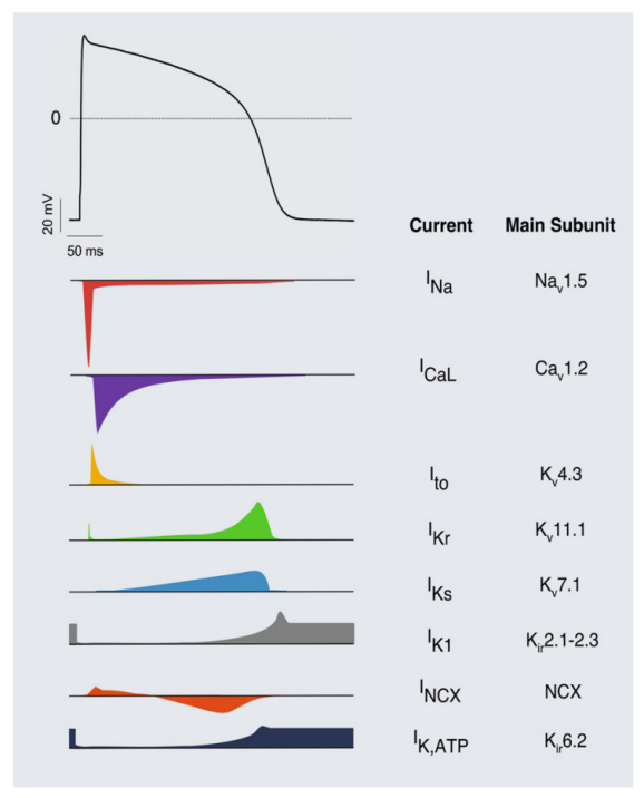 1717126000491638.png 微信图片_20240531112630.png