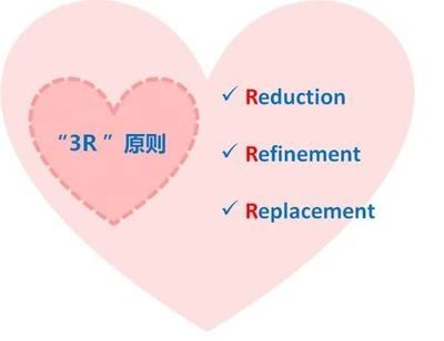 1717133553425756.jpg 微信图片_20240531133225.jpg