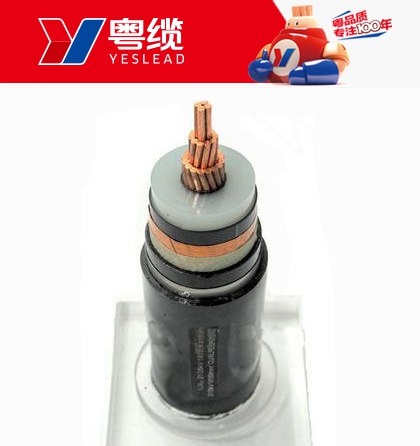 AG尊时凯龙人生就中压电缆