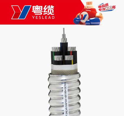 AG尊时凯龙人生就铝合金电缆