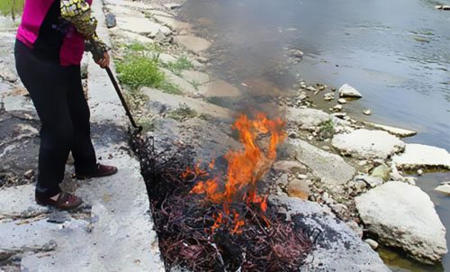 ����������£�¶���յ���=̯�ϴ��� 