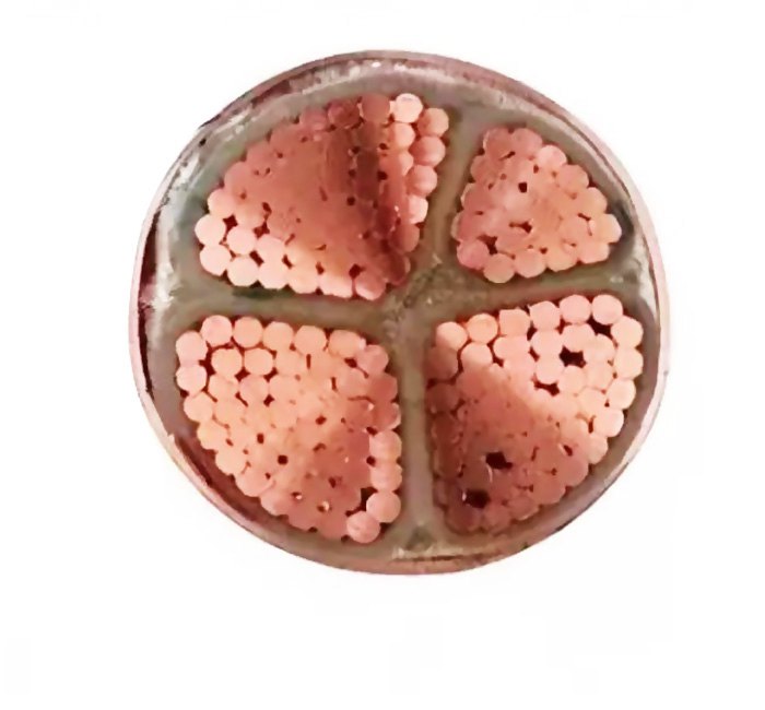 AG尊时凯龙人生就高柔性电缆